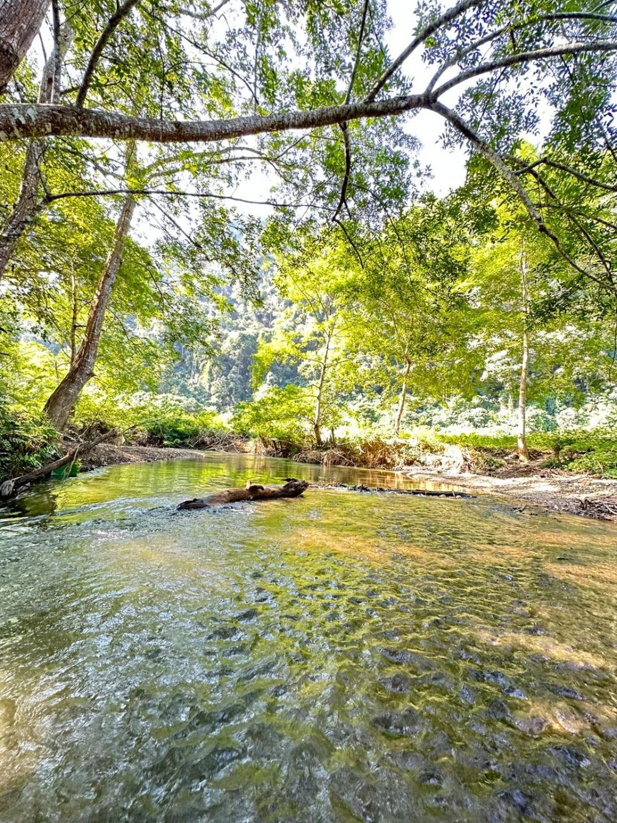 Mingkhuan Eco Homestay Nong Khiaw ภายนอก รูปภาพ